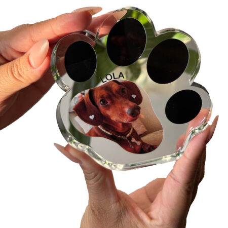 Porta Retrato Pet Foto Personalizada